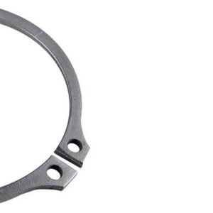 Aro sujetador para gato giratorio con placa